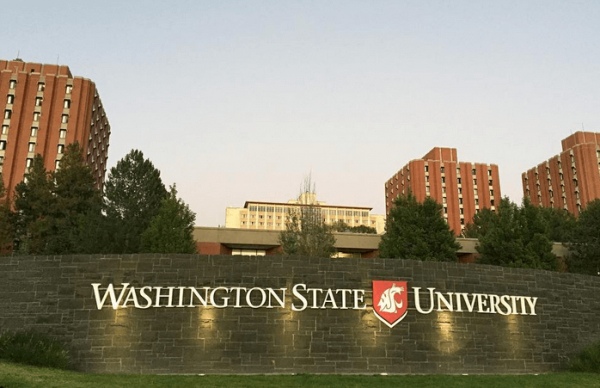 BS Neuroscience at WSU, USA